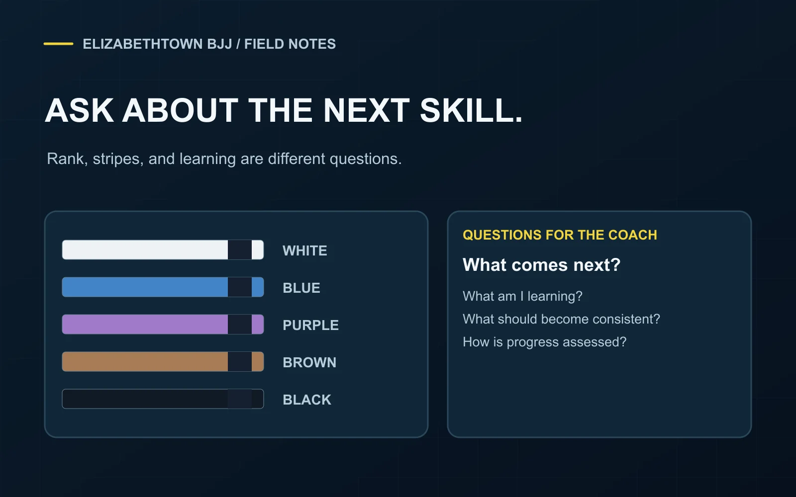 Five stylized belts in the adult white, blue, purple, brown, and black sequence beside three questions about progress.